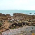 Shoalstone beach 2000 Shoalstone beach