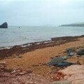 South Milton Sands South Milton Sands