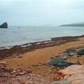 South Milton Sands South Milton Sands